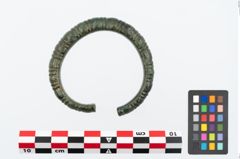 Foto von Bronzearmreif (NHMW-PRAE-025613)